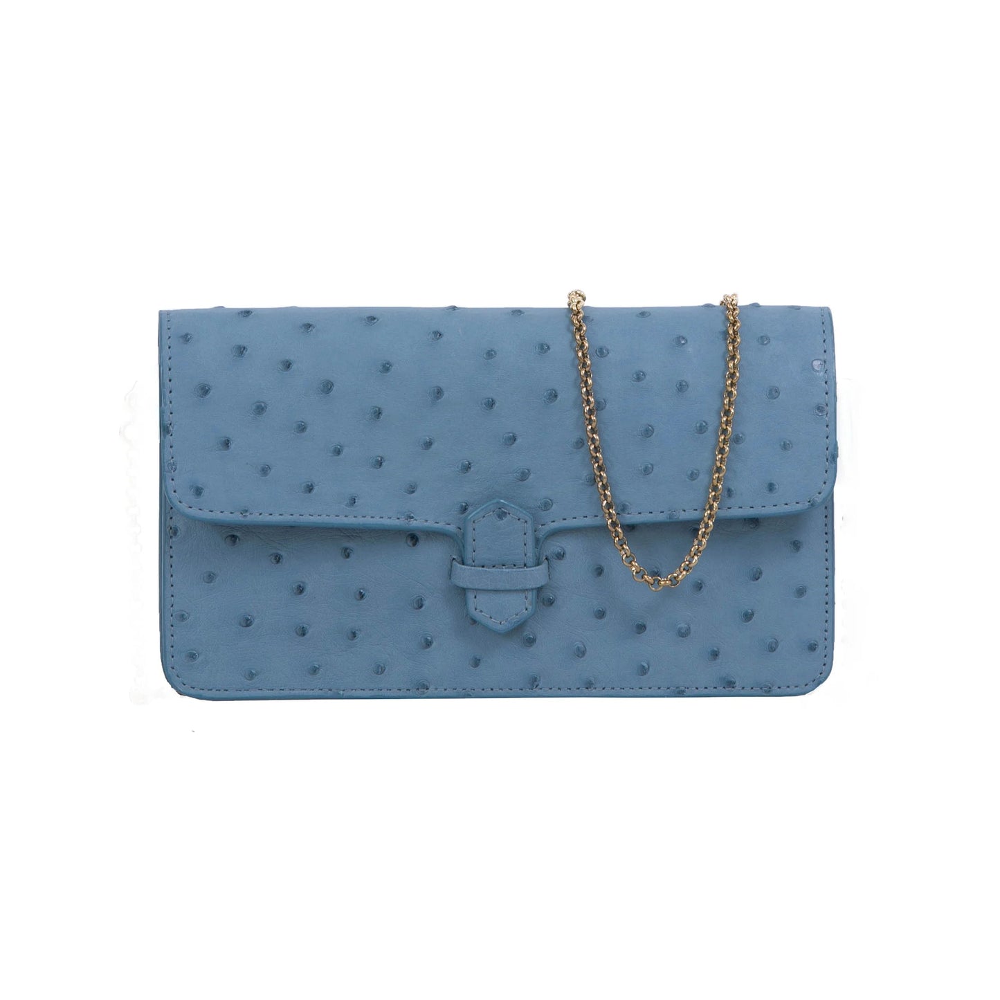 Ostrich Accordion Cross Body Clutch, Astrale Blue