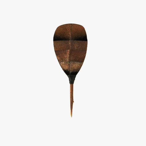 Brackish Richard Pin