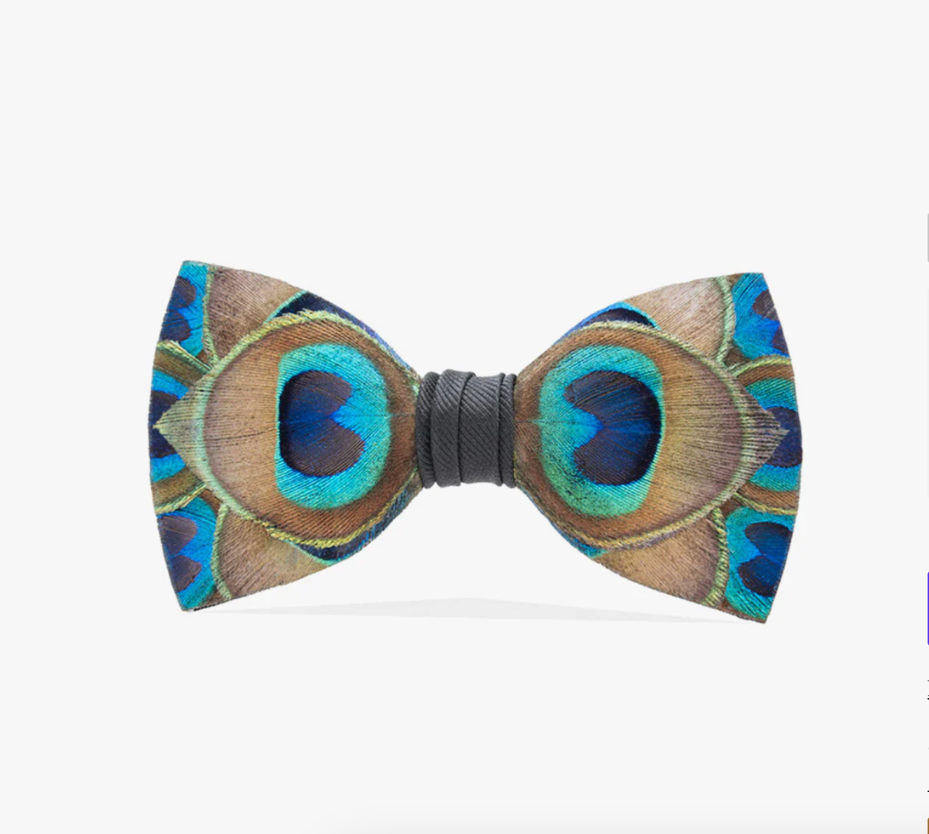 Brackish Hammock, Peacock, Bow Tie