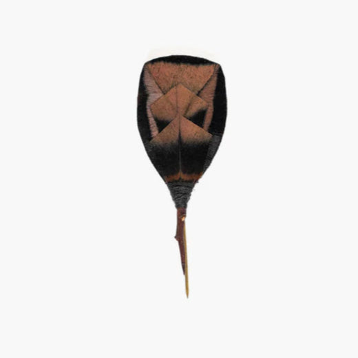 Brackish Donerail Pin